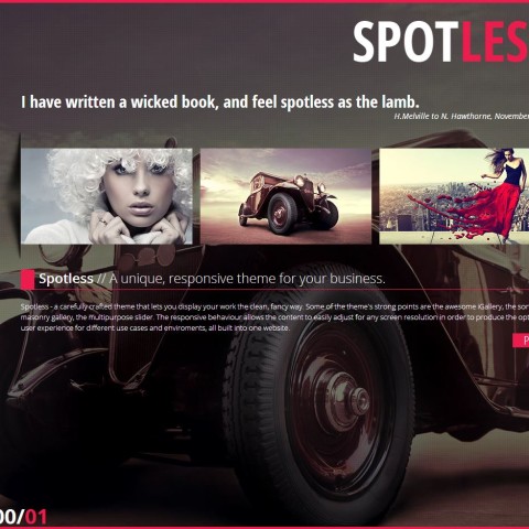 Spotless Responsive HTML ttemplate 25 Themeforest